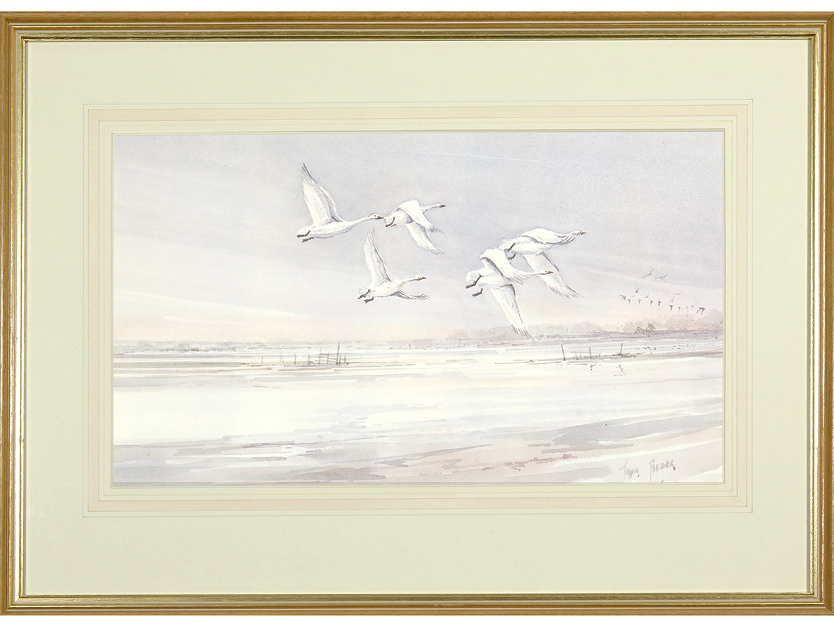 Jason Partner Framed Print, Bewick Swans