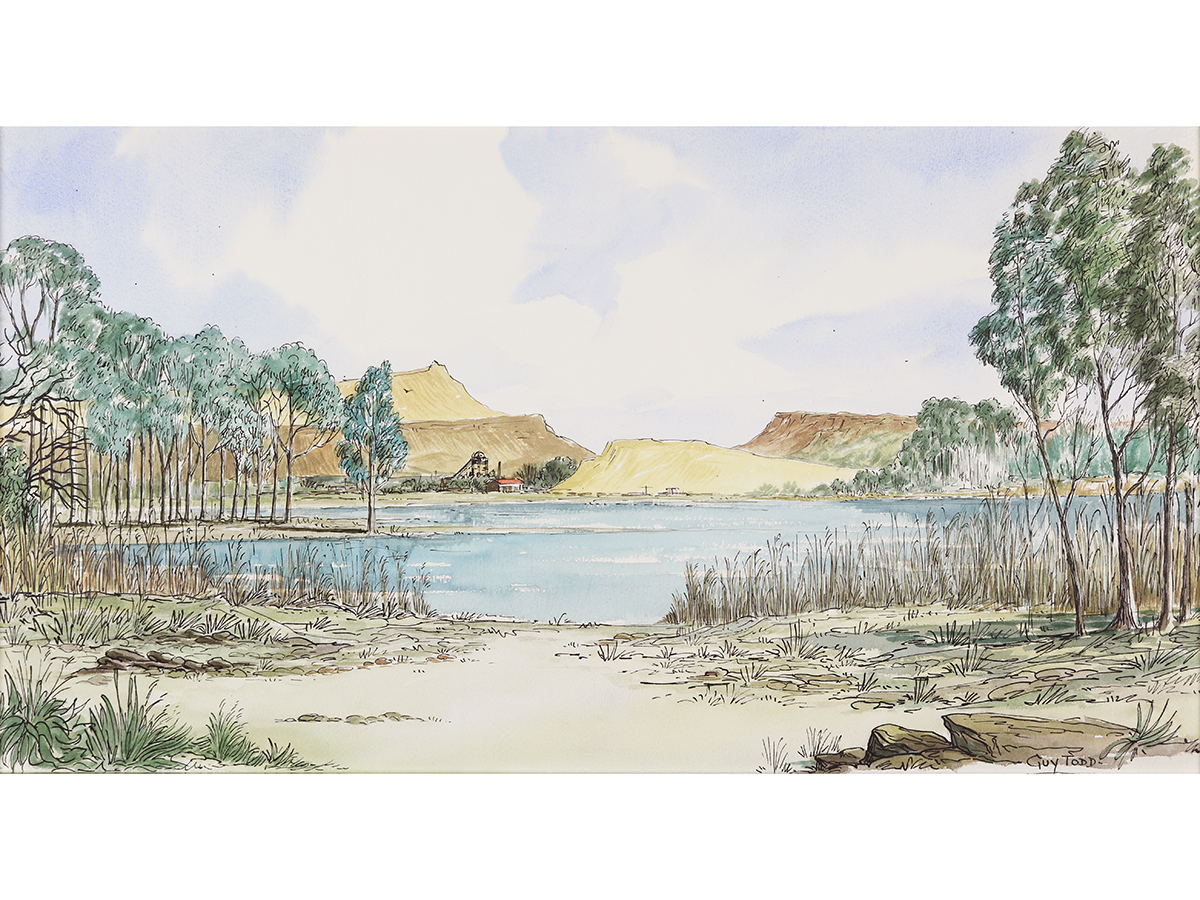 South African Scene, Guy Todd, Pen & Watercolour painting