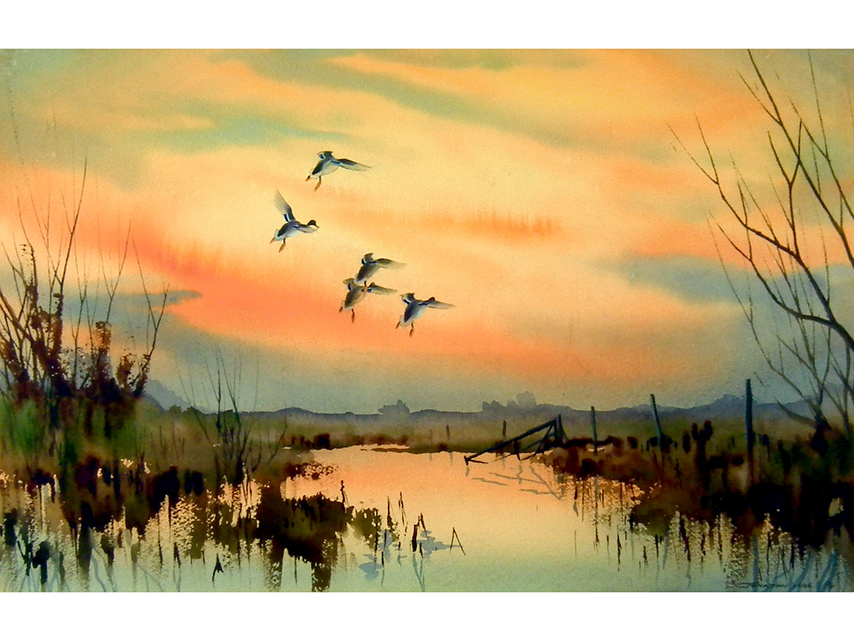 Jonathan Yule, Mallards, Watercolour