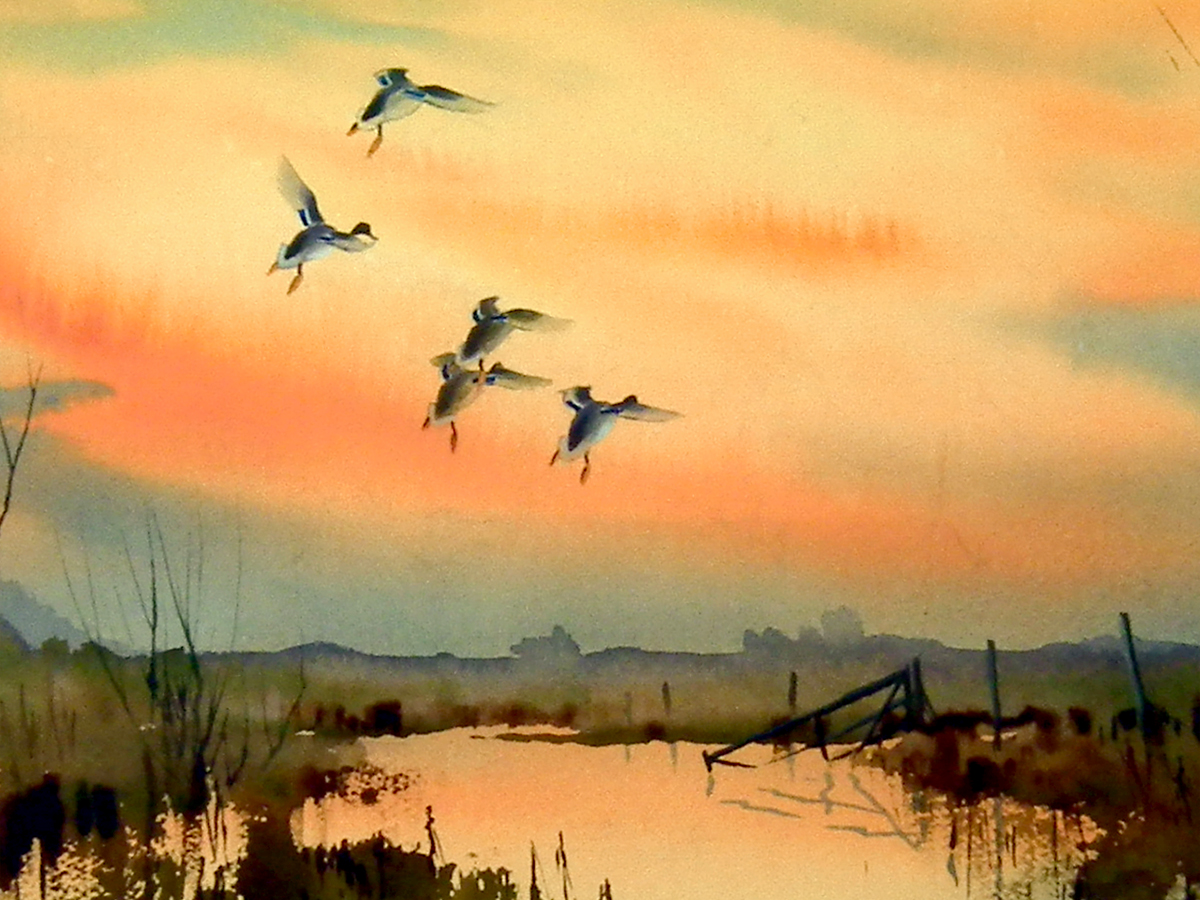 Jonathan Yule, Mallards, Watercolour