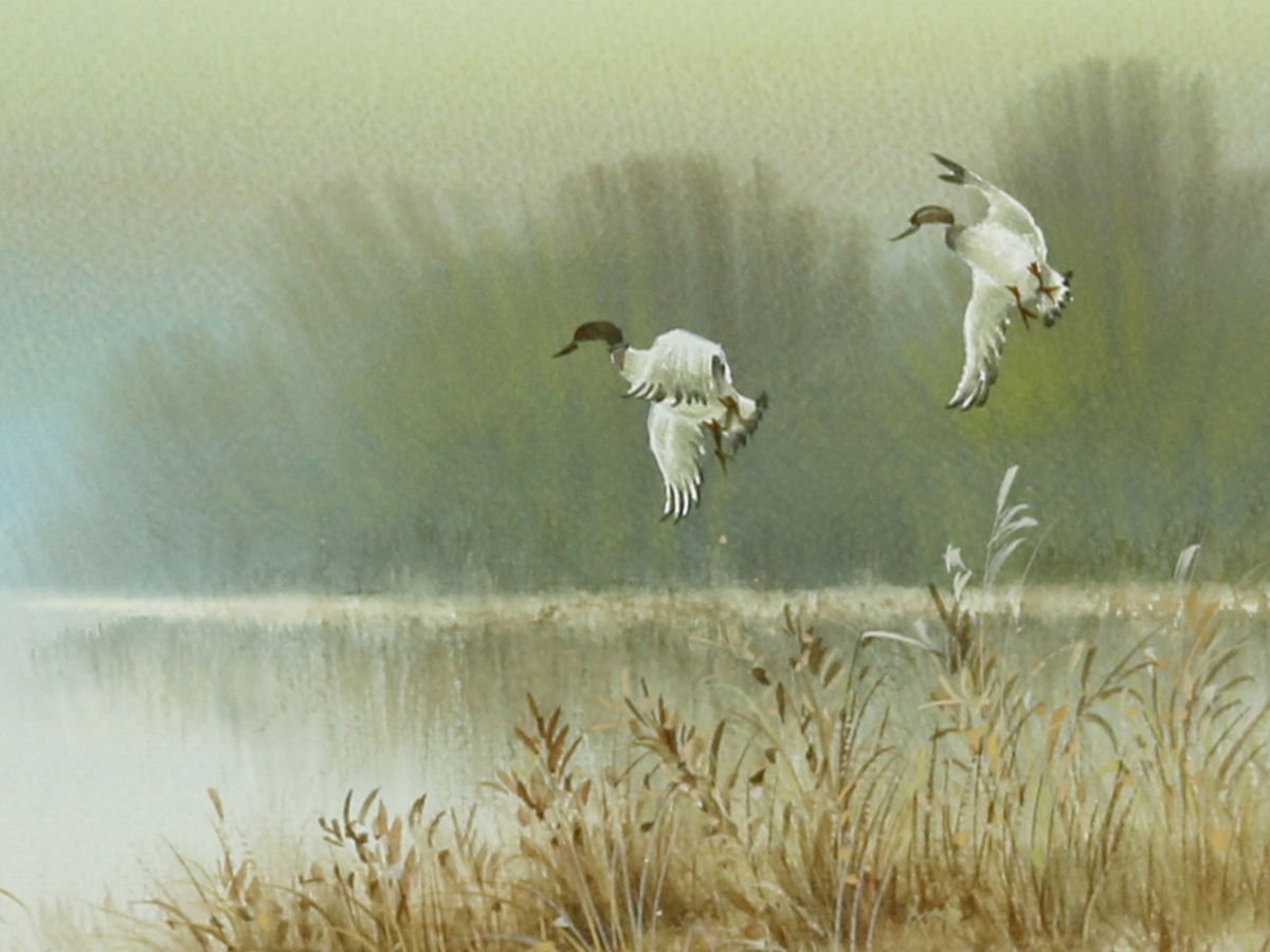 Ducks In Flight, Watercolour