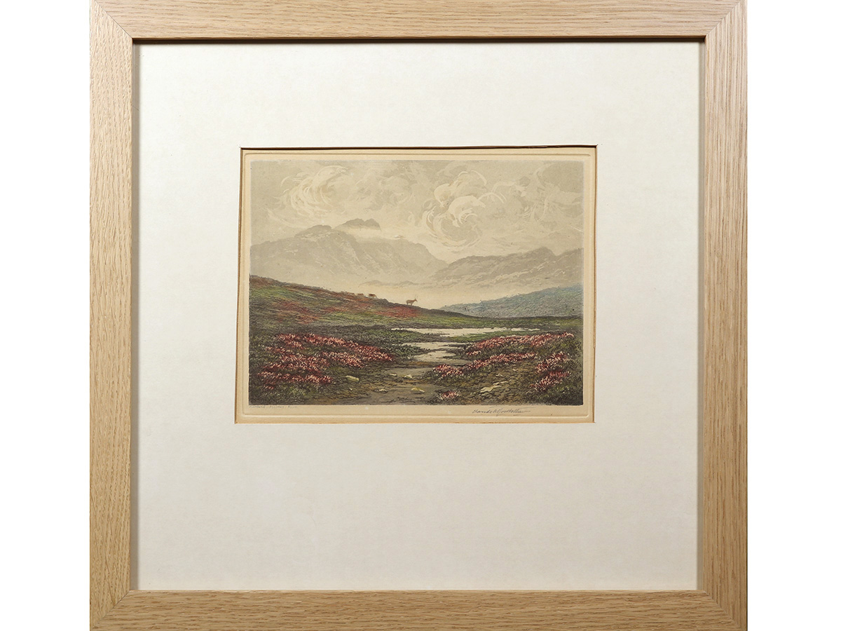 Moorland, Poolewe, Ross