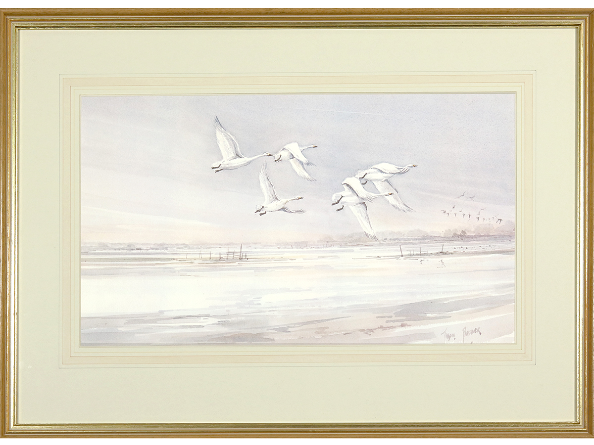 Bewick Swans over The Marsh