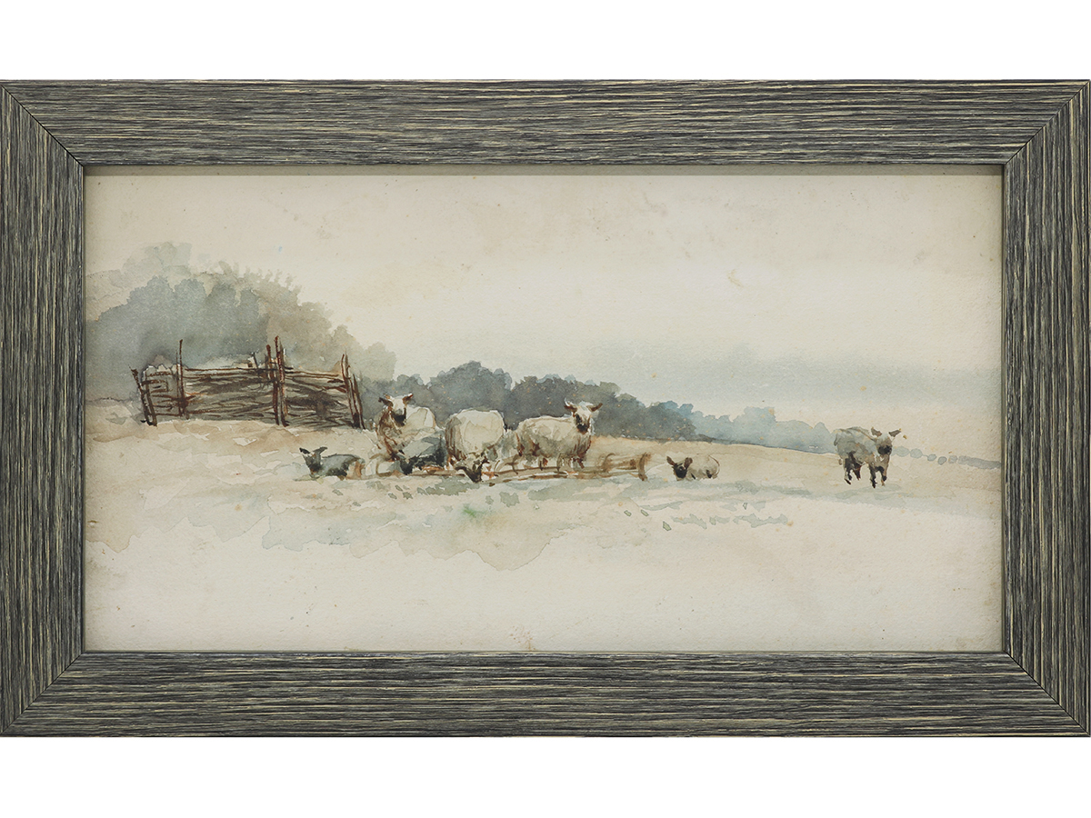 Sheep In Country Landscape